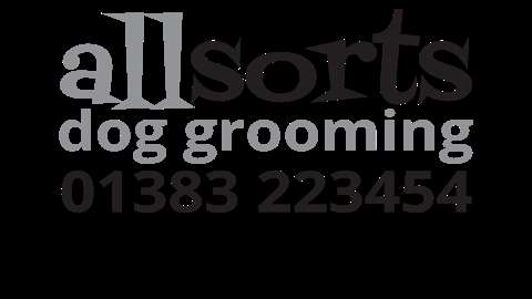 Allsorts Dog Grooming photo